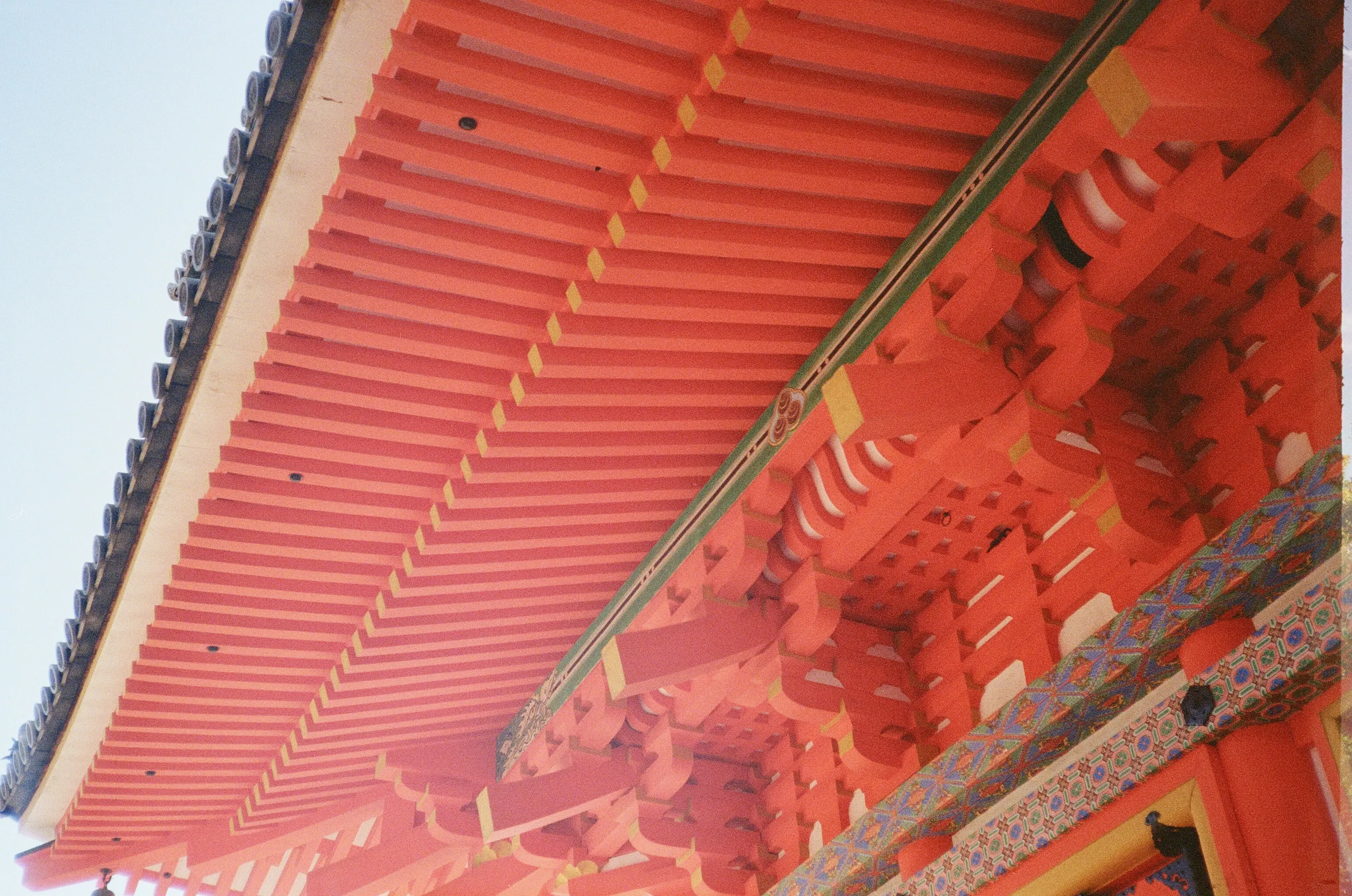 Film: Japan 2024